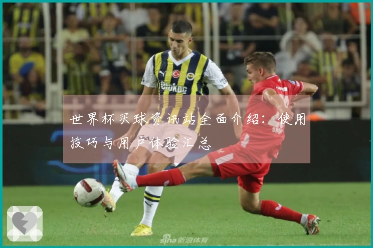 世界杯买球资讯站全面介绍：使用技巧与用户体验汇总