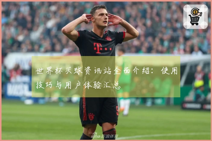 世界杯买球资讯站全面介绍：使用技巧与用户体验汇总
