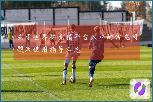 关于世界杯竞猜平台入口的常见问题及使用指导汇总