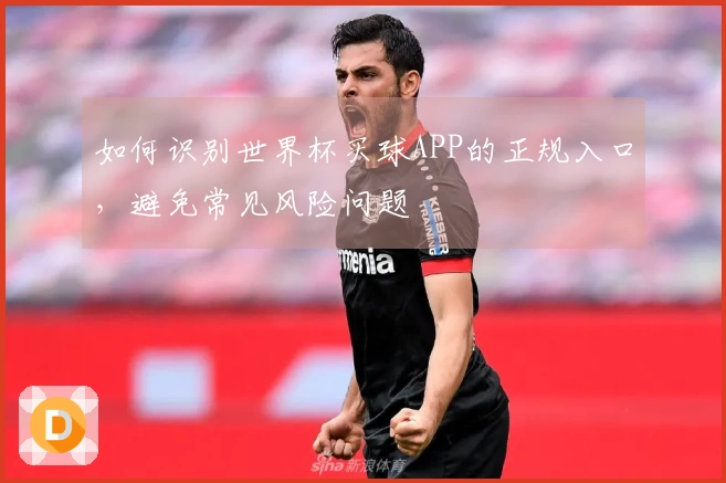 如何识别世界杯买球APP的正规入口，避免常见风险问题