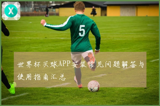 世界杯买球APP安装常见问题解答与使用指南汇总