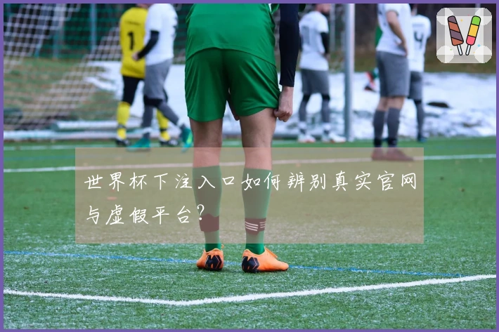 世界杯下注入口如何辨别真实官网与虚假平台？