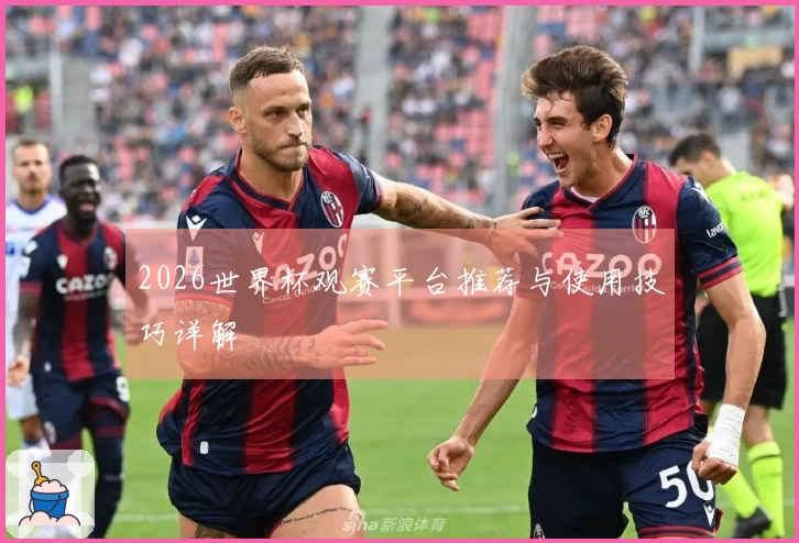 2026世界杯观赛平台推荐与使用技巧详解
