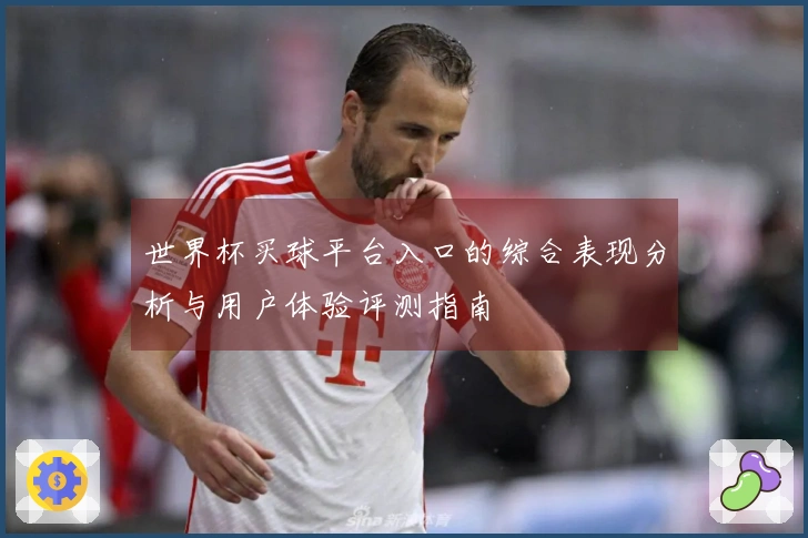 世界杯买球平台入口的综合表现分析与用户体验评测指南