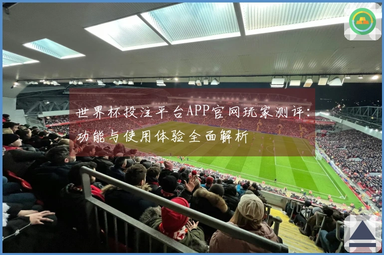 世界杯投注平台APP官网玩家测评：功能与使用体验全面解析