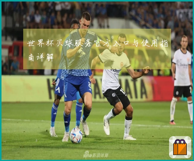世界杯买球服务官方入口与使用指南详解