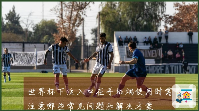 世界杯下注入口在手机端使用时需注意哪些常见问题和解决方案