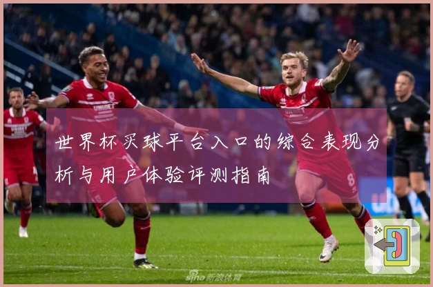 世界杯买球平台入口的综合表现分析与用户体验评测指南