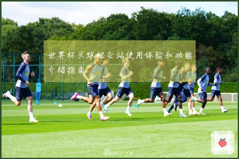 世界杯买球综合站使用体验和功能介绍指南