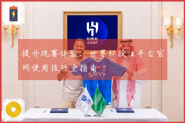 提升观赛体验：世界杯投注平台官网使用技巧全指南
