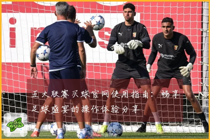 五大联赛买球官网使用指南：畅享足球盛宴的操作体验分享