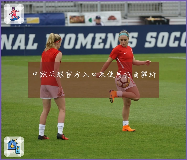 中欧买球官方入口及使用指南解析