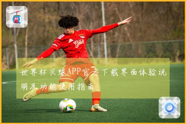 世界杯买球APP官方下载界面体验说明及功能使用指南