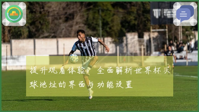 提升观看体验，全面解析世界杯买球地址的界面与功能设置